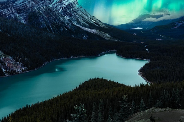 Cenário da Aurora Boreal brilhando sobre o Lago Peyto lembra uma raposa no parque nacional no Canadá