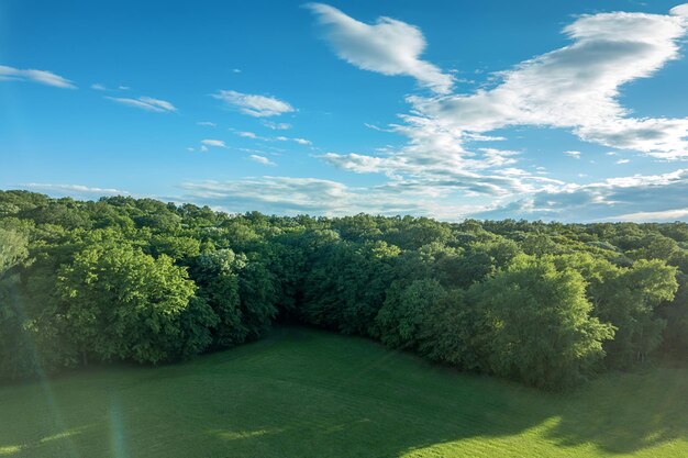 Cenário de floresta aérea floresta europeia. Bela paisagem montanhosa, com picos montanhosos cobertos por floresta.