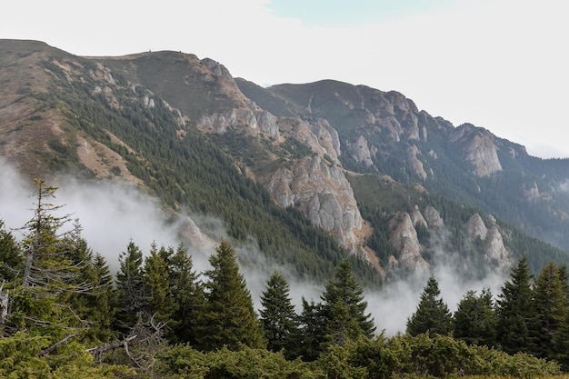 Cenário de montanha nas montanhas Ciucas na Romênia