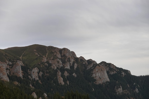 Cenário de montanha nas montanhas Ciucas na Romênia