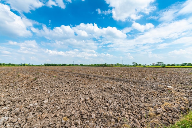 Cenário de paisagem um solo de prado em um campo de arroz Preparação de arrozal para semear a semente de arroz com nuvens fofas céu azul fundo de luz do dia