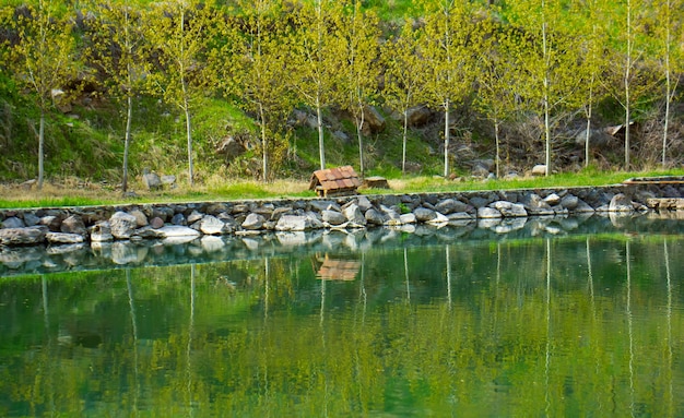 cenário de paisagem verde verão seasone