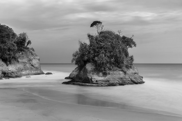 Cenário de praia indonésio preto e branco