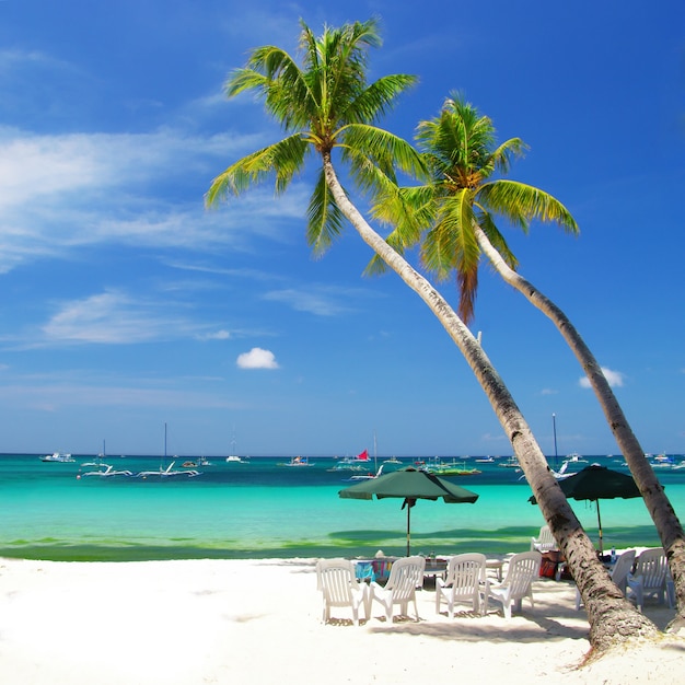 Cenário de praia tropical com coqueiros e mar azul-turquesa. Ilha de Boracay, Filipinas