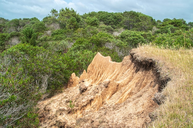 Cenário de praia