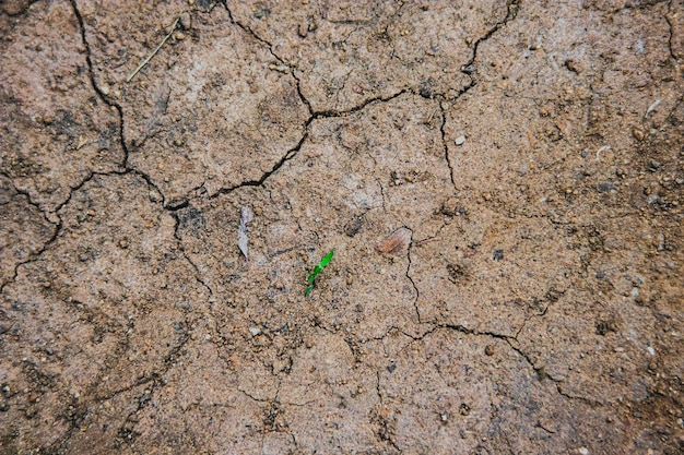 Foto cenário de terreno acidentado com rachaduras à luz do dia foto