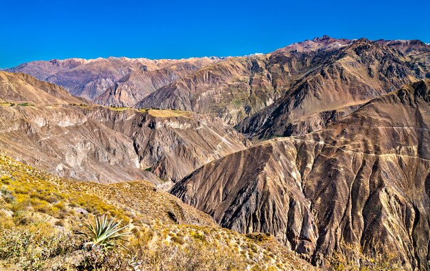 Cenário do Desfiladeiro do Colca no Peru, um dos desfiladeiros mais profundos do mundo