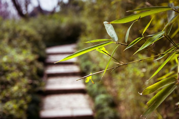 Cenário do parque zhuozhengyuan