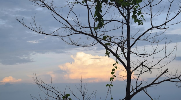 cenário do pôr do sol com nuvem vermelha