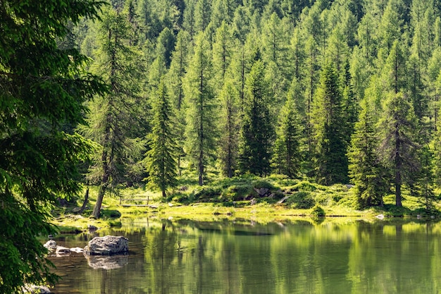 Cenário dos alpes com floresta verde e lago