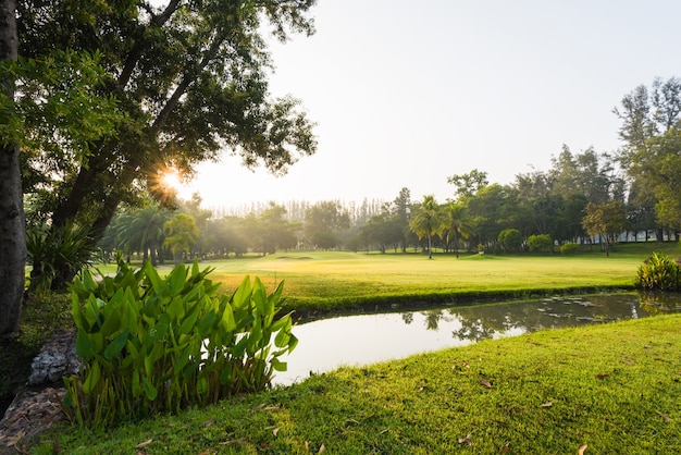 Cenário golfe verde e prado na manhã