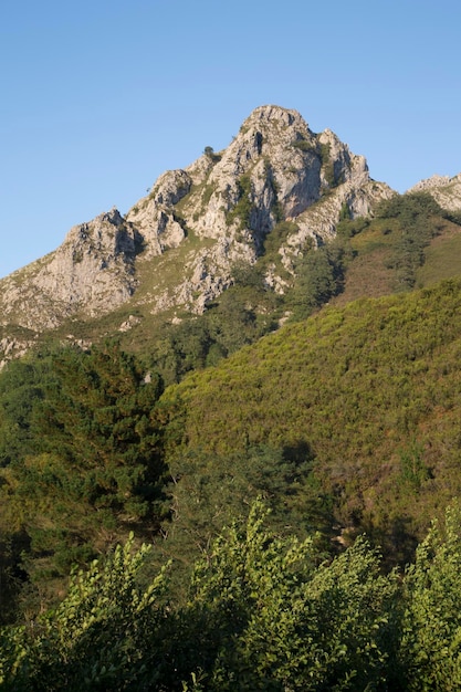 Cenário na Cordilheira dos Picos de Europa, Astúrias, Espanha