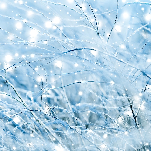 Cenário natural de fundo de férias de inverno com neve brilhante e clima frio na época do Natal