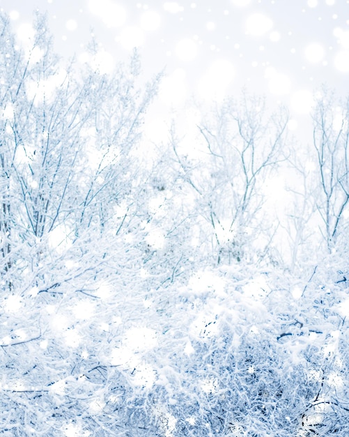 Cenário natural de fundo de férias de inverno com neve brilhante e clima frio na floresta na época do Natal