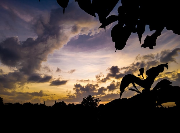 cenário natural de manhã ao nascer do sol