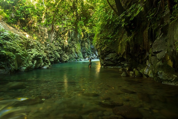 Cenário natural indonésio com uma bela cachoeira no meio de uma floresta tropical