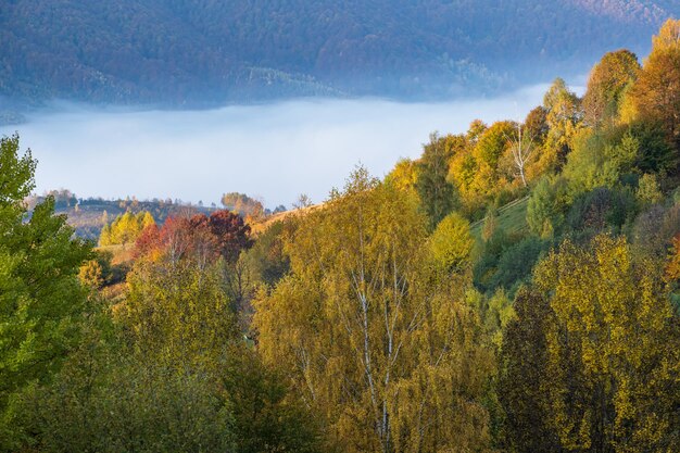 Cenário nebuloso de montanhas de outono de manhã cedo Pacífica viagem pitoresca natureza sazonal e cena de conceito de beleza rural Montanhas Cárpatos Ucrânia