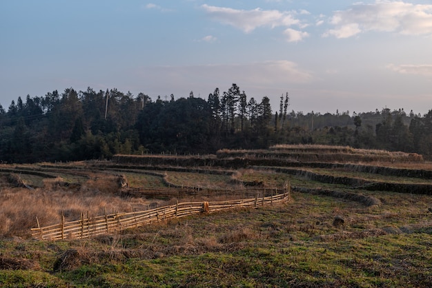 Cenário rural noturno, casas, campos e árvores