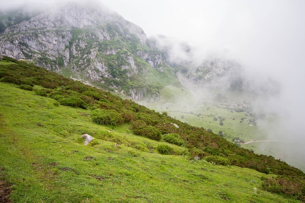 Cenário típico de montanhas verdes do norte da Espanha