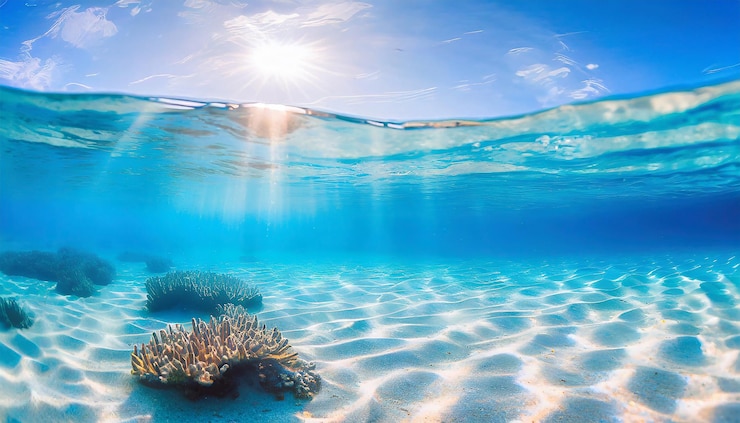 Foto cênica subaquática tropical com raios de sol e recifes de coral