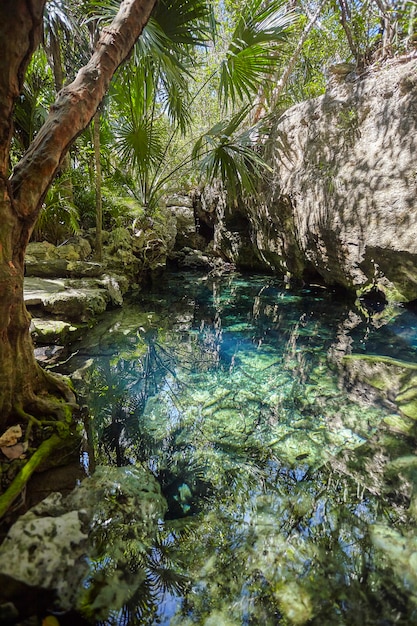 Foto cenote azul in mexiko #2