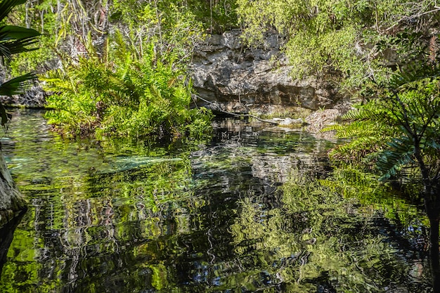 Cenote Azul in Mexiko