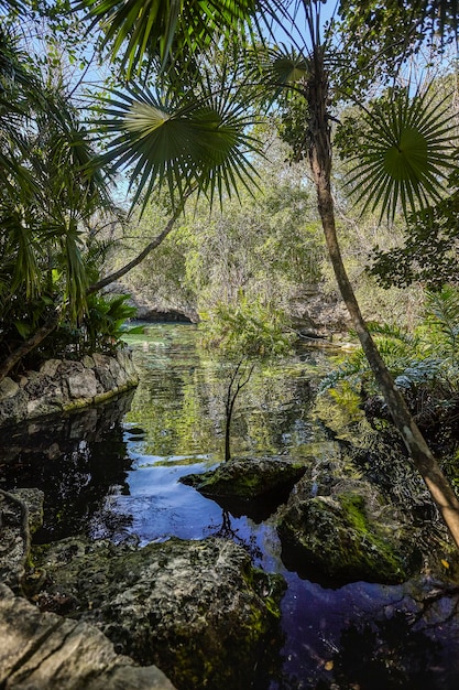 Foto cenote azul en méxico