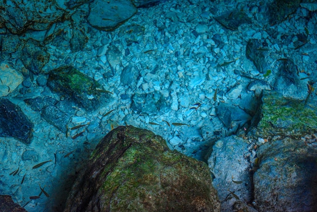 Cenote Dos Ojos mit klarem, blauem Wasser