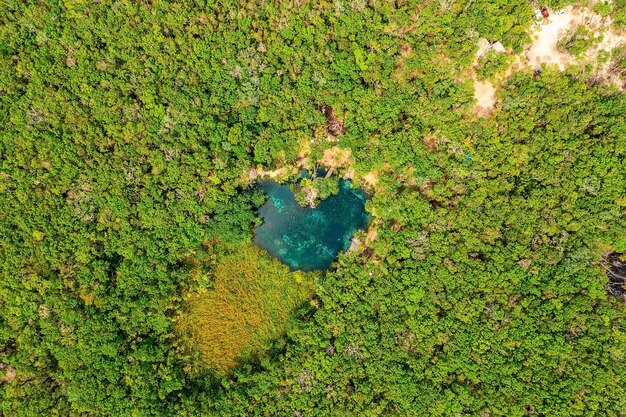 Foto cenote en forma de corazón en medio de una jungla en tulum méxico