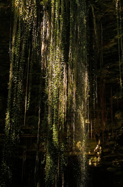 Cenote Grande em Valladolid Yucatan México