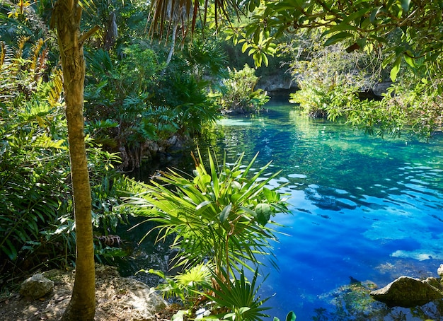 Foto cenote in riviera maya von maya mexiko