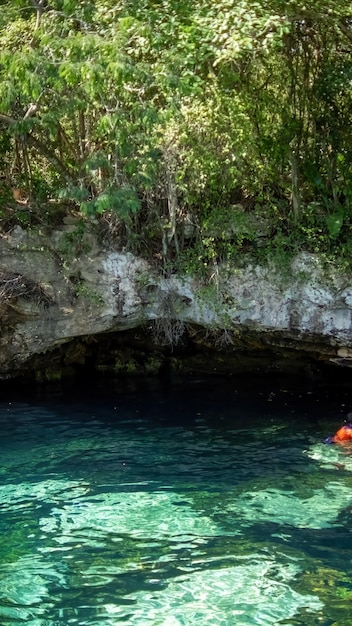 Cenote México Adorável cenote na Península de Yucatan com águas transparentes e raízes suspensas Chichen Itza América Central