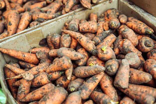 Cenoura em caixas de papel em uma loja de vegetais.