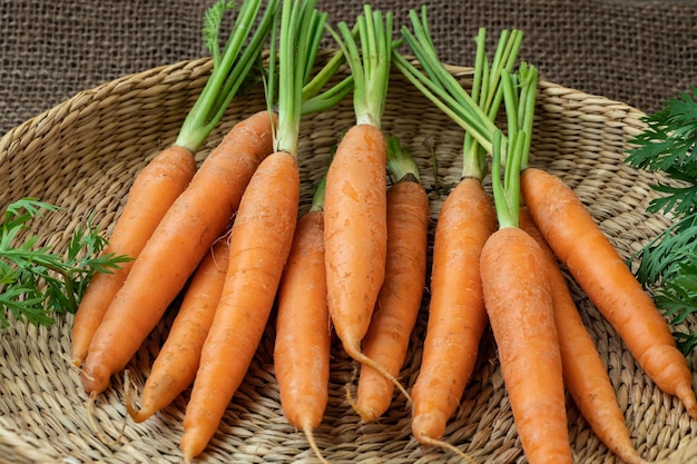 Cenoura fresca em um vegetal de raiz de cesta Comida saudável