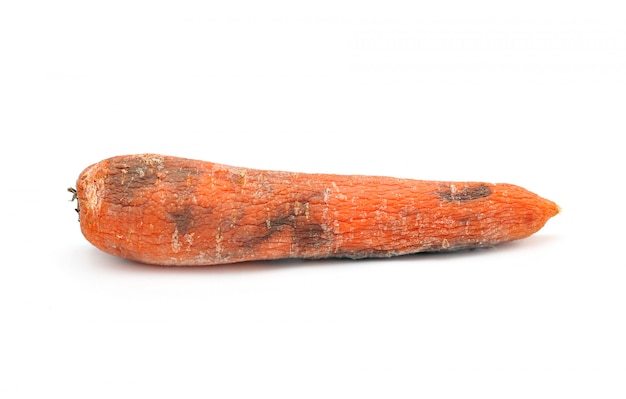 Cenoura velha