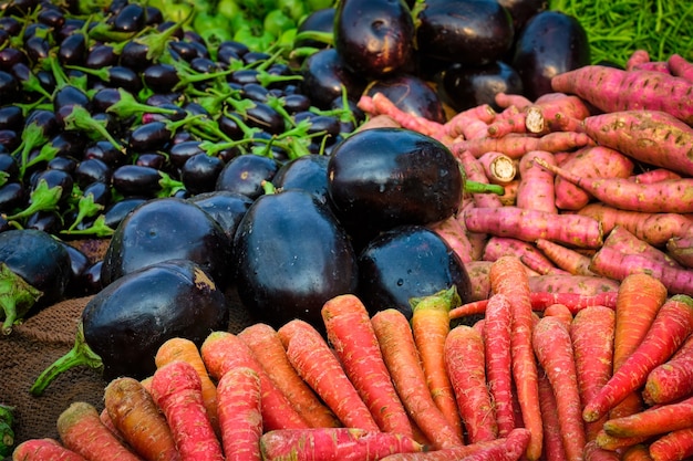 Cenouras e beringelas vegetais no mercado de vegetais na índia