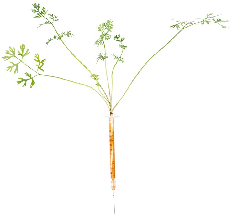 Foto cenouras para injeções de vitaminas