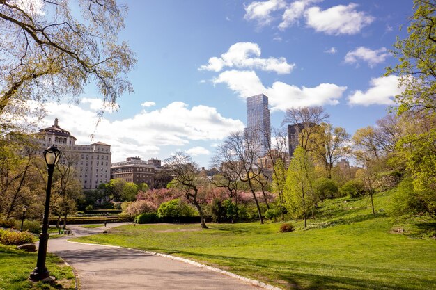 Central Park en un día soleado en primavera