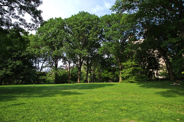 Central Park in New York