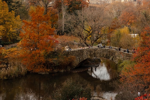 Central park new york city usa manhattan skyline