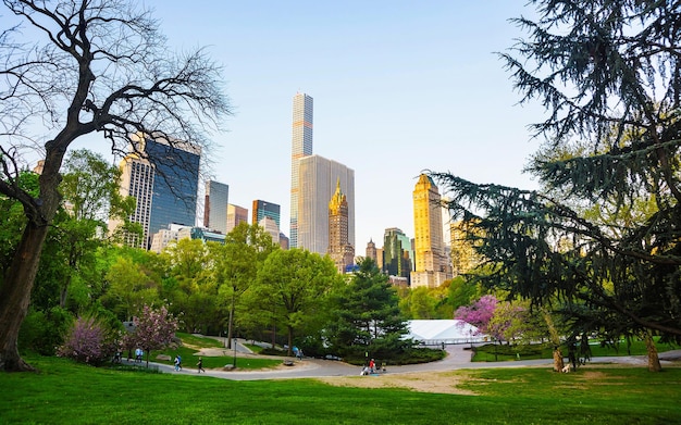 Central park New York, ótimo design para qualquer finalidade. Midtown Manhattan, EUA. Vista com a arquitetura Skyline of Skyscrapers em Nova York. Fundo da natureza. Paisagem urbana. NY, EUA