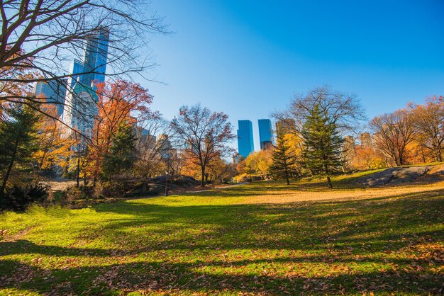 Foto central park new york