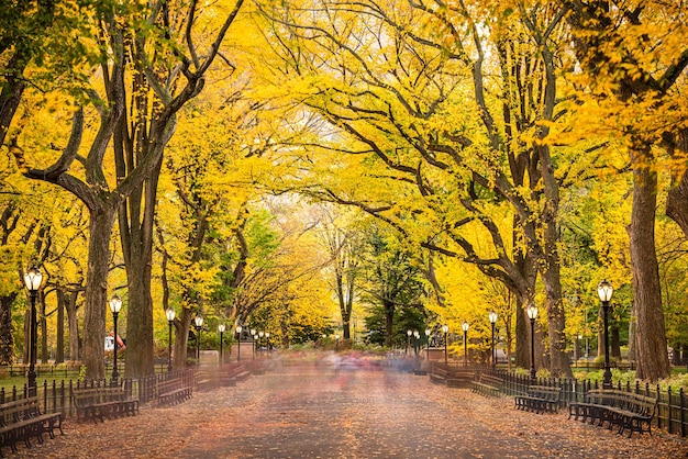 Central Park no The Mall em Nova York