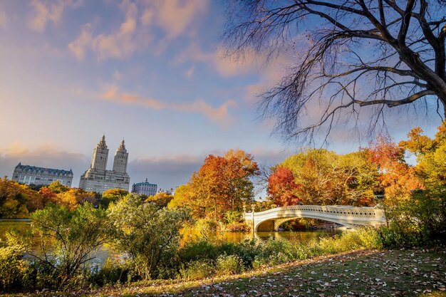 Central Park en otoño en el centro de Manhattan, Nueva York