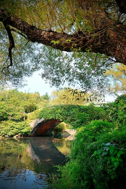 Central Park Spring com ponte no centro de Manhattan New York City