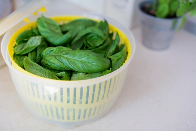 Centrífuga secadora de ensaladas con hojas de albahaca