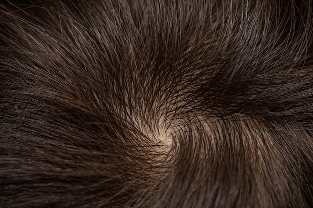 Foto centro de cuero cabelludo de mujer con cabello sano