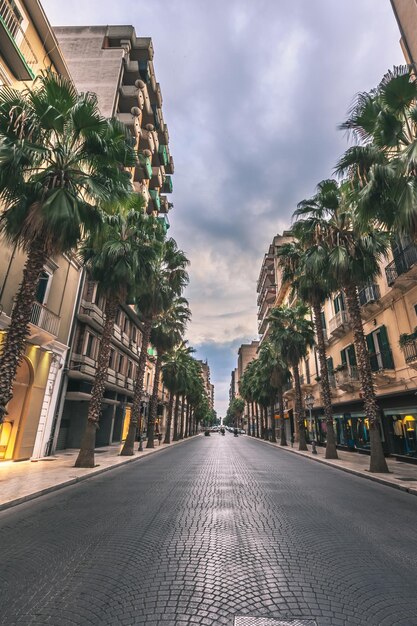 El centro histórico de una gran ciudad Taranto en el sur de Italia. Calles limpias y vacías de una hermosa ciudad con una arquitectura impresionante y palmeras altas.