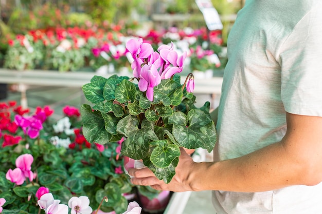 Centro de jardinería para la venta de plantas y flores.