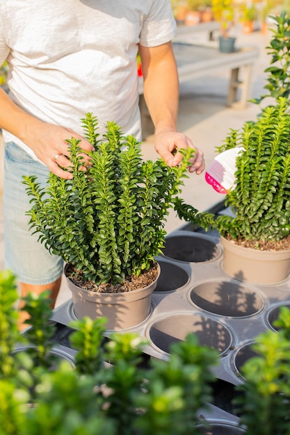 Centro de jardinería para la venta de plantas y flores.